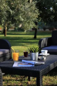 Under the Walnut Tree Pomer - Family & pet-friendly, big lawn, greenery, nature - Image 4
