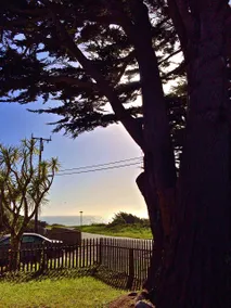 Charming Oceanview Moss Beach - Image 4