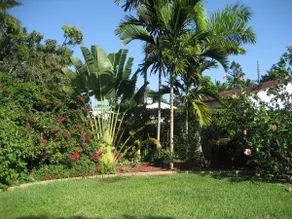 Tropical RiverHouse w/Spa & Deck - Image 5