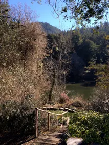 Riverside Retreat in Monte Rio - Image 4