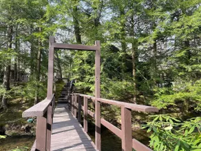 Laurel Mt. Creekside Chalet with private island - Image 3