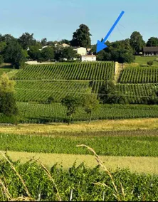 “In the heart of the vineyards”, a chic and soothing getaway. - Image 5