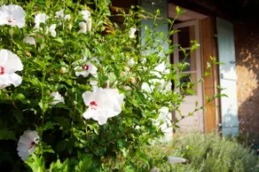 Stunning Period House - La Maison Perigordine - Image 4
