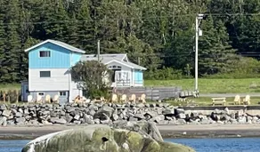 Alizé-Sur-Mer. Sainte-Flavie, Gaspé. - Image 2