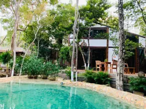 Cenote full house + Natural pool - Image 5