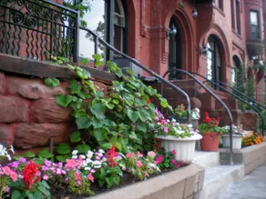 Downtown Living! ☆Stadium, Convention Ctr, Armory☆ - Image 2