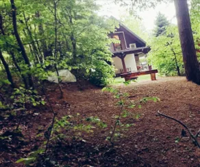 Slow stay forest cottage Domasa SVK - Image 2