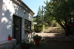 House among the pines - Image 2