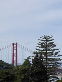 Overlooking downtown Lisbon - Image 3