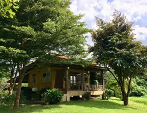 Paradise Bungalow - Image 2