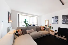 Peit Luxe Atic - Image 5
