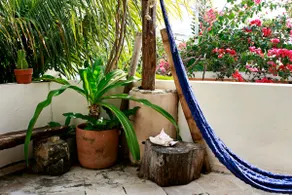 Eco-Department Pool in Cancun - Image 5