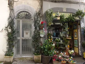 flat and guided tours by the owner - Image 4
