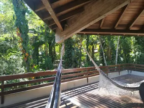 Casa Tiê-Sangue, a refuge in the middle of the Atlantic forest - Image 5