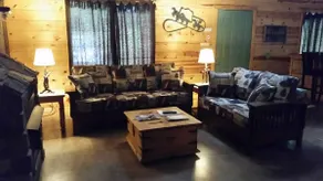 Lucky Star- WIFI/h tub/pool table/fireplace/swings - Image 5