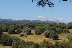 Maquis and Beaches - Image 3