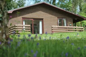 Rural lodge wooded valley at the heart of Cornwall - Image 3