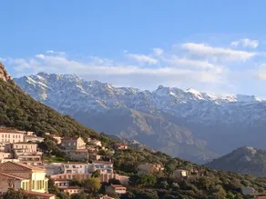 The Almond Trees - Image 4
