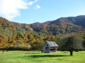 Chalet in the forest of Issaux no. 1: The Dreamer - Image 2