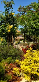 Air-conditioned studio in Beaujolais - 69220 - - Image 4