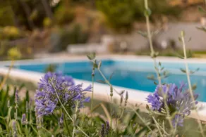 Luxurious villa Elena near Split with large swimming pool and private Chef - Image 4