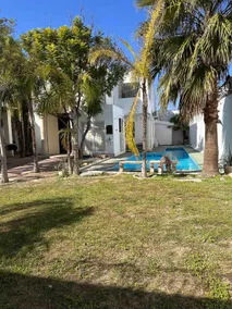 Casa de las Palmas - Image 3