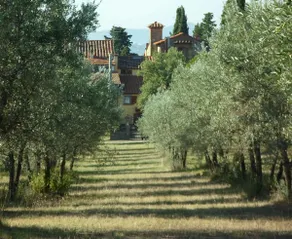 Single House in panoramic location - Image 2