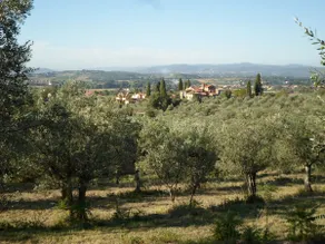 Single House in panoramic location - Image 5