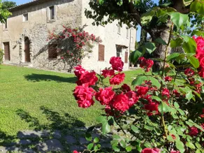 THE TUSCAN FARMHOUSE - Image 4