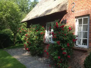 Romantic thatched cottage in front of Sankt Peter-Ording - Image 4