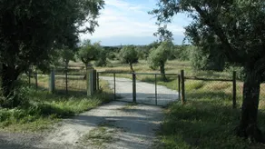 Quinta da Queimada - Image 4
