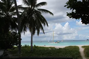 Twin Palm, on the Beach,  Garden Apartment - Image 4