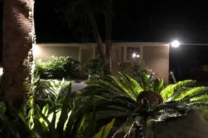Back Yard Paradise - Image 2