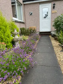 Treetops Bungalow Loch Ness - Image 2