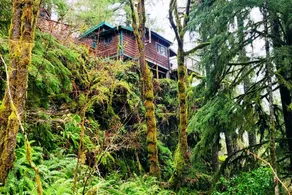 Welch Cabin <A License to Chill>                 ~we LOVE dogs~ - Image 2