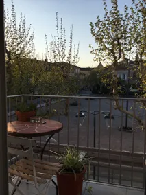 Oasis in the heart of the village - Image 3