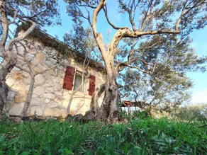 House Skalica - Image 2