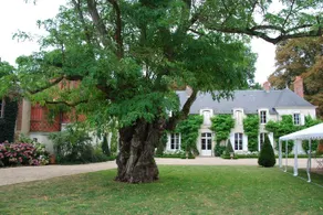 The House of Philippine - Image 3