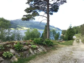 Cabin in the heart of Jølster. Jølstravegen 1148 - Image 5