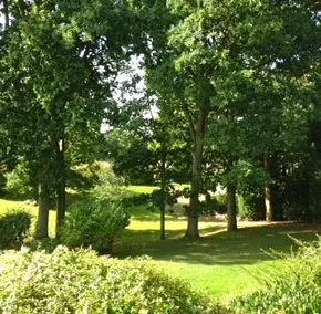 Self contained stay / work home, in large grounds - Image 3