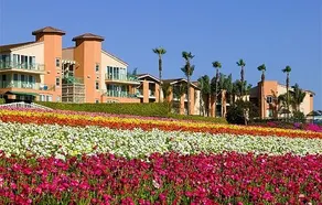 Grand Pacific Palisades Resort - Image 3