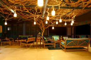 Charming beachfront villa, swimming pool, large garden - Image 4