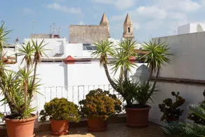 La Terraza del Drago - Image 2