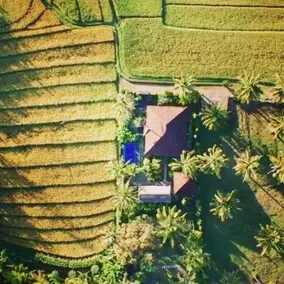 Villa Gede Private Guest House - Image 4