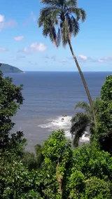 1-bedroom front apartment on Porchat Island - Image 3
