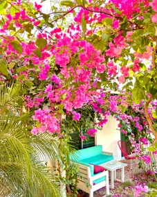Villa 1 | Pool view |5 min walking Tamarindo Beach - Image 3