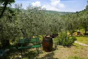 In the Countryside at Sergino's - Image 2