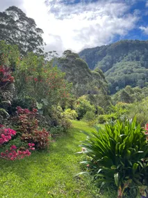 Warrawillah House - Image 3