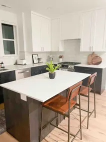 Luxury Downtown Spacious 3 bedroom New Townhome - Image 3