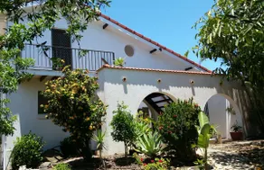 The Cove Retreat- Pet Friendly Oceanfront Studio - Image 3